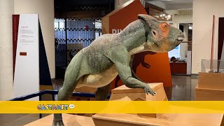 Dinosaurs of BC featured in Kelowna