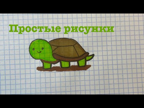 Как нарисовать черепаху 🐢
