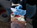 من ينباگ منك شي وأنت ادلة جنائية من ينباگ منك شي وأنت ادلة جنائية