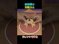 本気の紙相撲対決!!#さまぁーず #紙相撲 #力士