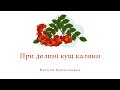 При долині кущ калини Українська народна пісня При долині кущ калини Українська народна пісня