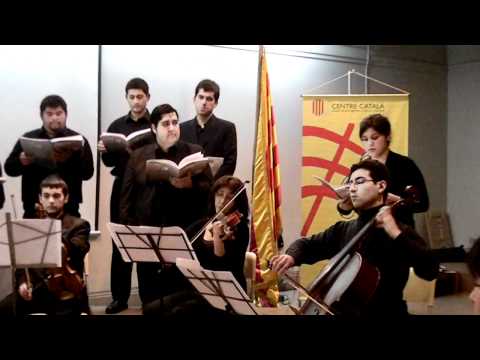 Camerata Prima Voce - Run Run se fue pa'l norte (P...