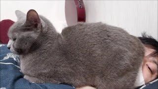 【ちょいクサ】尻で保湿してくれるから加湿器いらない