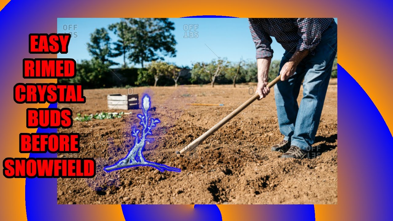 How to Farm RIMED CRYSTAL BUDS Before the Consecrated Snowfield