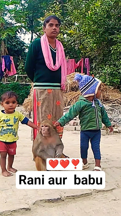 #cute #monkey #rani #yashomatimaiyasebolenandlala ❤️❤️❣️
