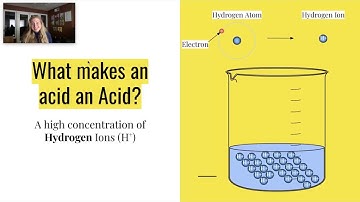 Biopolis Virtual Lab 1: Acids and Bases