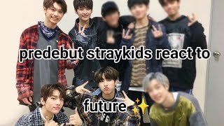 Predebut straykids react to future