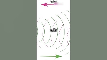 "How Sonar Sensors Work: The Science Behind Sound Navigation!"