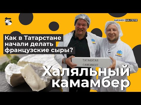Халяльный камамбер. Как в Татарстане стали делать французские сыры