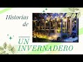 Montaje invernadero - Greenhouse - Instalacion de gravilla e estabilizadores