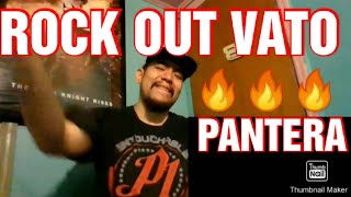 PANTERA - MESSAGE IN BLOOD REACTION \ REVIEW
