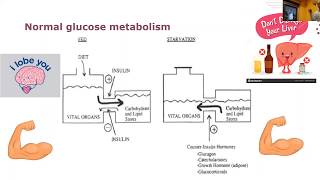 CDE Preparation Video- Pathophysiology- February 9th screenshot 1