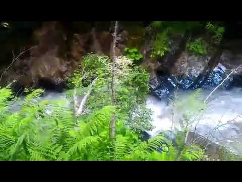 ფშავი პატარა ამაზონი. მათურხევი.