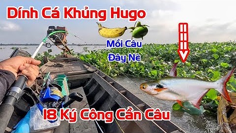 Điểm Câu Trúng Mánh Dính Toàn Hugo Cá Khủng,  Xuồng Câu Nhiều Nơi Ùn Ùn Kéo Đến Đua Nhau Câu,Fishing
