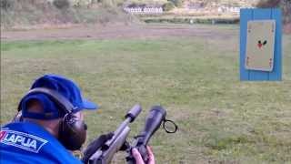 Precision of the Blaser Saddle Mount II