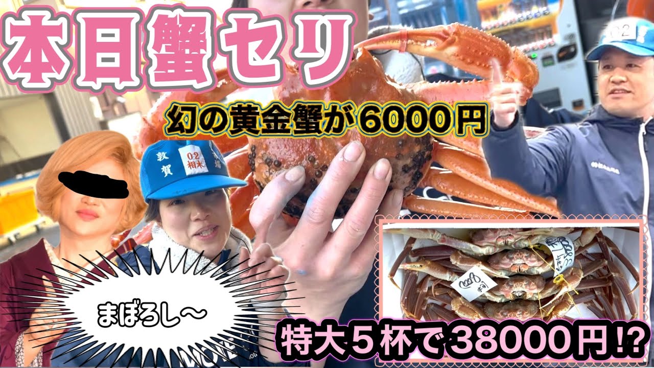 まぼろし〜黄金蟹がたったの6000円！？特大越前かに5杯で38000円！時は 