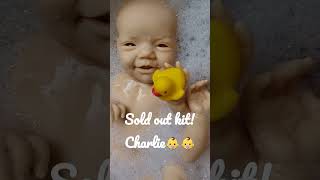 charlie joanna kazmierczak twins twinbabys twinbaby notreal reborn