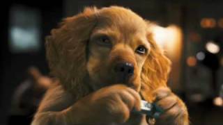 Como Cães e Gatos 2 - Trailer Teaser (dublado)