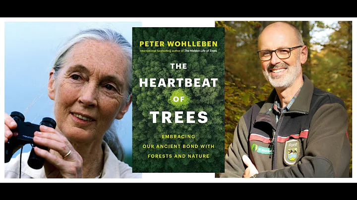 The Heartbeat of Trees: A Virtual Afternoon with D...