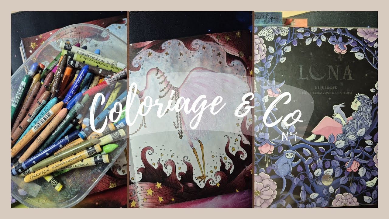 🫧 Mes cadeaux de Noël, trop d’énergie et Neocolor II | Coloriage & Co 🫧