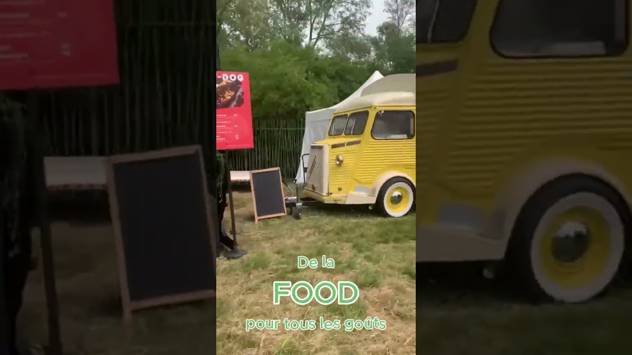 BMFT x Marvellous Island Festival