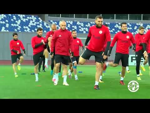 საქართველოს ნაკრების ვარჯიში დინამო არენაზე