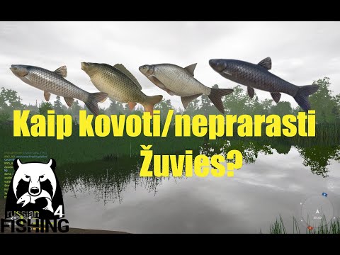 Video: Kaip Pagauti žuvį žaidime „Russian Fishing“