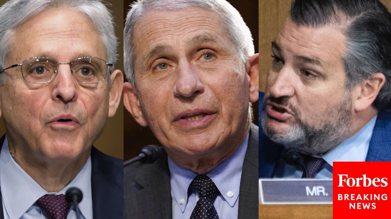 'Is The DOJ Investigating Dr. Fauci For Lying To Congress?': Ted Cruz Presses Garland On NIAID Dir.