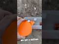 Day 11. 1LB Every day until 1 million #viral #explosion #challenge #trending #comedy #targetshooting