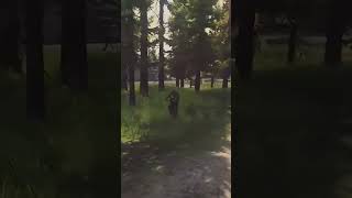 Попала в пати к добрякам! #shorts #eft #escapefromtarkov