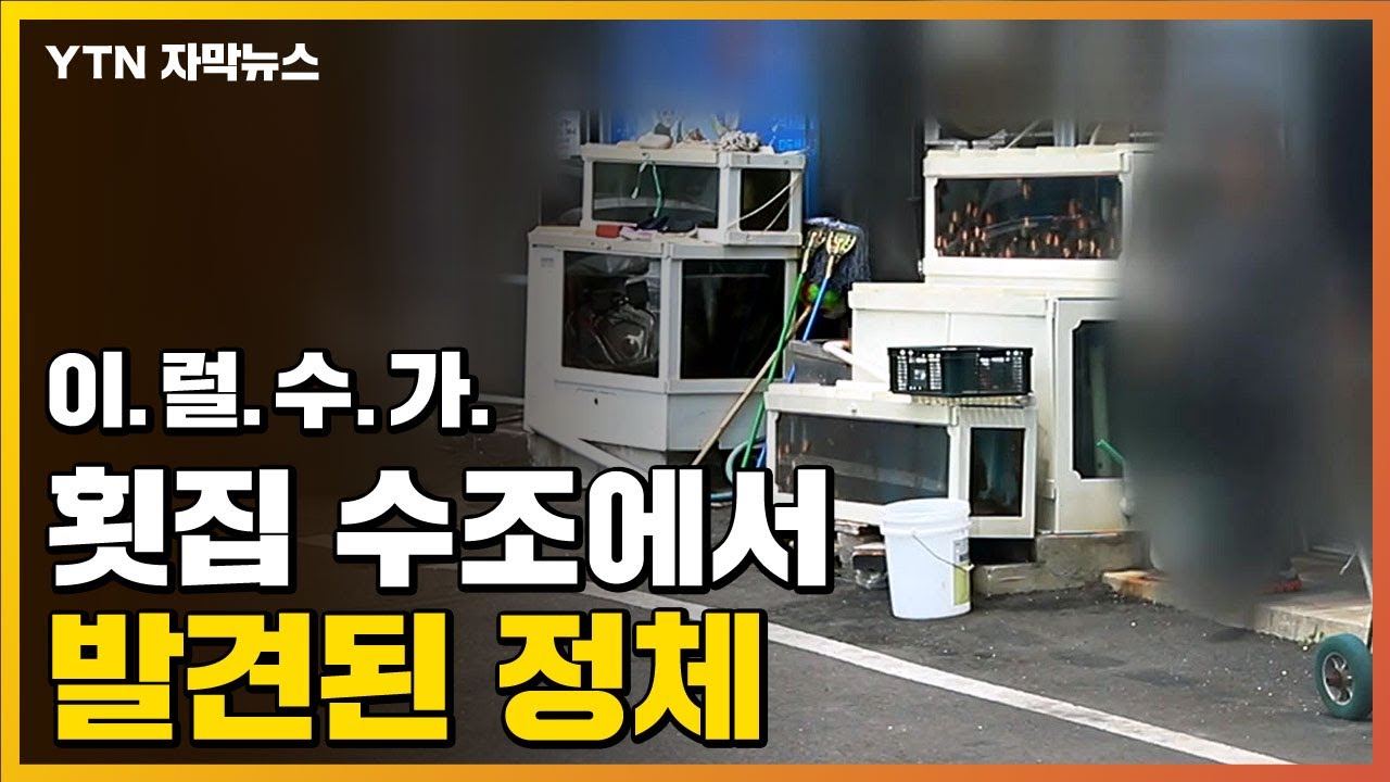 [자막뉴스] 한 손님의 신고...횟집 수조 속에 이게 왜 / YTN