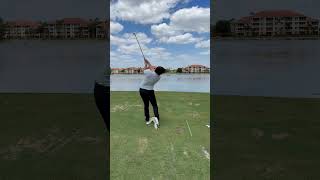 IMG 6413