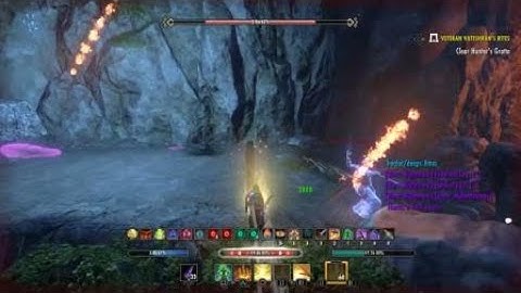 FIX THIS ZOS! - ESO Glitch