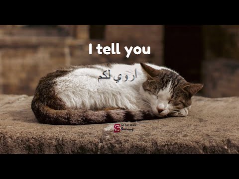 أروي لكم عن قصة للمصطفى النسخة الأصلية مع الأنيمشين سمية الحاج امنة زيتون   