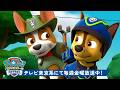 パウ パトロール チェイスとトラッカーのなかよしレスキュー 30分 テレビ東京系にて放送中