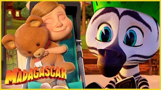 ¡Cuiden al Sr. Oso! | DreamWorks Madagascar en Español Latino