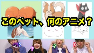 ペットだけでアニメを当てるクイズ【全10問】