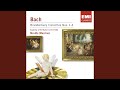 Miniature de la vidéo de la chanson Brandenburg Concerto No. 2 In F Major, Bwv 1047: Ii. Andante