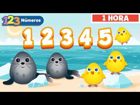Aprender a Contar