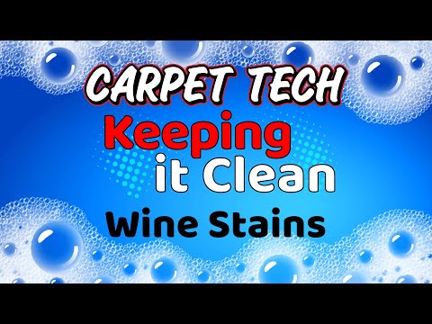 Here's how I removed white paint from my carpet! If you ever spill