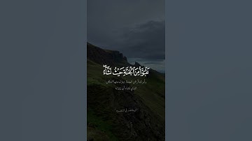 تلاوة عطرة من سوره الزمر