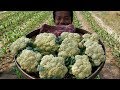 Cauliflower Cooking Recipe / Stir Fry Cauliflower / Kdeb Cooking