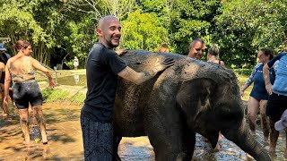 Giving Elephants A Mud Bath at the Bali Zoo