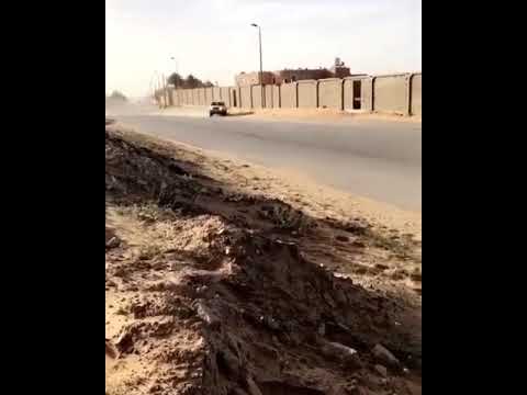 نطل فورتشنر