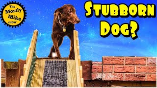 Dog Ramp DIY | Part 1