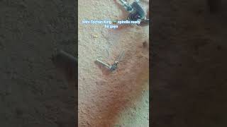 Mini spindle Tochan King part 02 ✅Full Raddy hogya hai #shortvideo_ #nishudaswal
