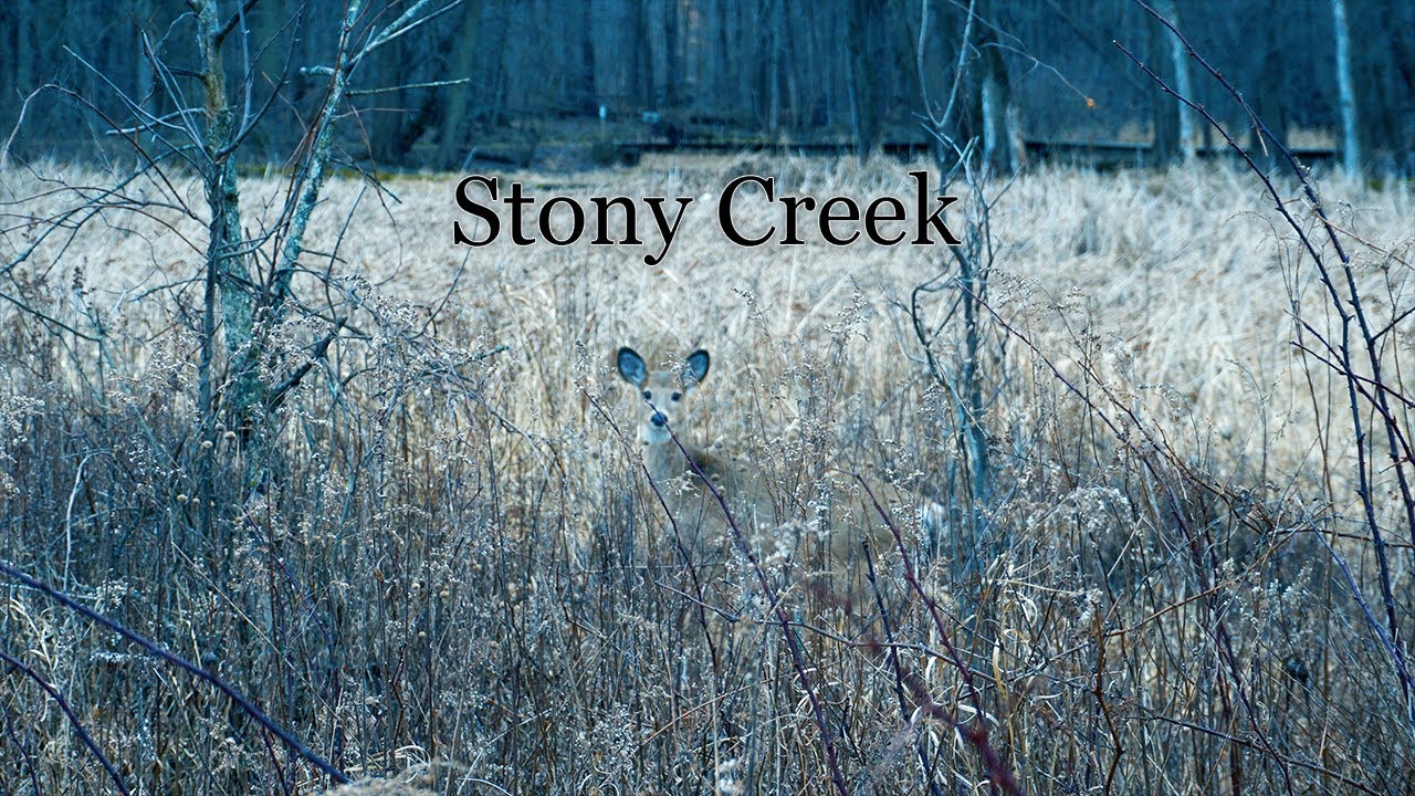 Hiking and Photography at Stony Creek Metropark