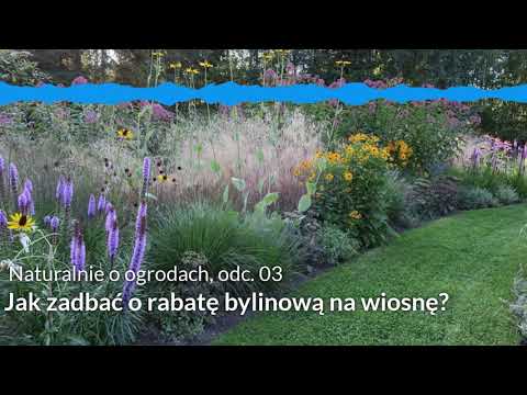 NoO 03: Jak zadbać o rabatę bylinową na wiosnę?