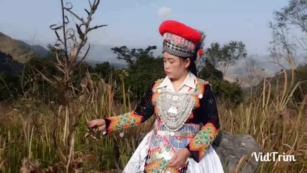 kwv txhiaj hmoob xeev uv ntau ntshe yuav tuag