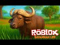 Tentando sobreviver na SAVANA AFRICANA - Roblox Savana Life